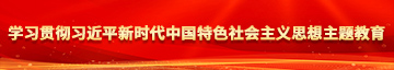 操逼视频看看吧嗯呐学习贯彻习近平新时代中国特色社会主义思想主题教育