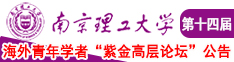 一穴两棒动态图中文字幕南京理工大学第十四届海外青年学者紫金论坛诚邀海内外英才！